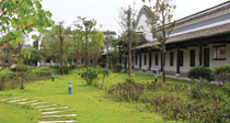&#30343;&#20896;