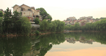 &#30343;&#20896;