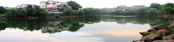 &#30343;&#20896;